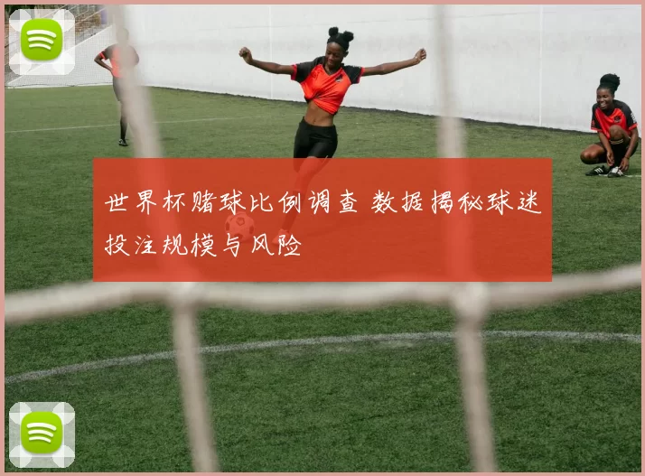 世界杯赌球比例调查 数据揭秘球迷投注规模与风险