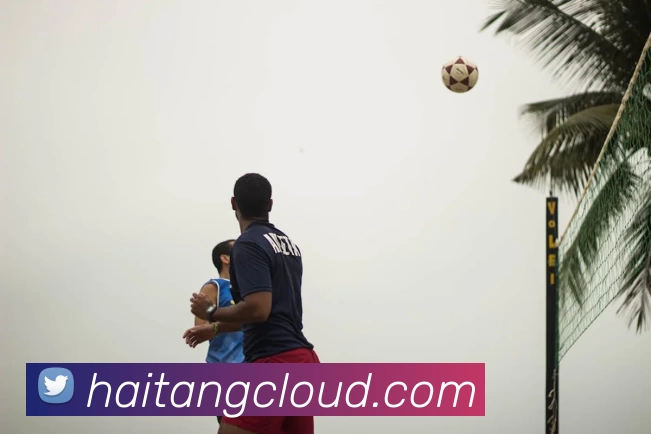 qy球友会·(中国)官方网站全站App qy球友会·(中国)官方网站全站App